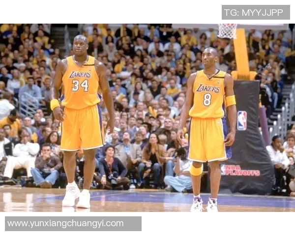 15号球衣的篮球明星背后的故事与传奇人生揭秘