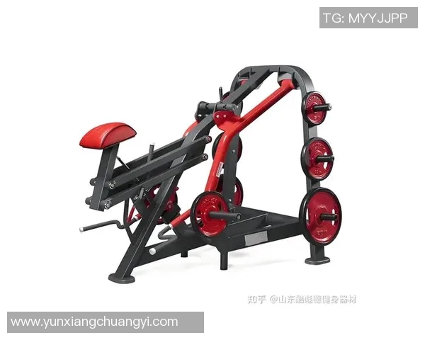 商用健身器材厂家如何选择优质设备提升健身房竞争力与用户体验