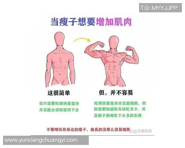 提升肌肉力量与线条美的哑铃二头弯举训练全攻略